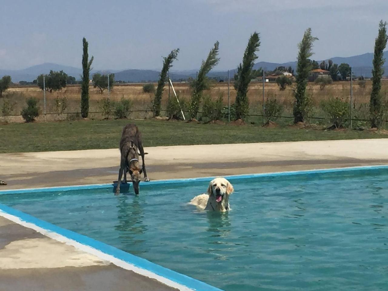 Fattoria Maremmana Aparthotel Marina di Grosseto Kültér fotó